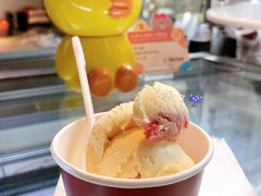 -哈根达斯(西安高新店)