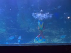 -无锡海洋馆