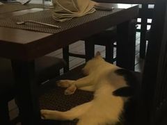 -Old House Restaurant