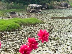 -大雁山风景区