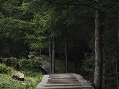 -苏木山森林公园