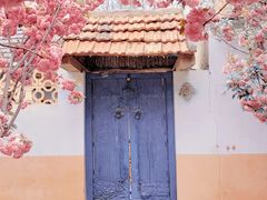 -莱阳濯村樱花园