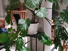 -一尺花园(安和花园店)