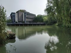 -青枫公园