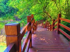 -广州白江湖森林公园