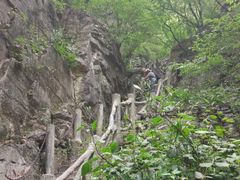 -沂蒙山旅游区云蒙景区(蒙山国家森林公园)