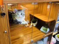 -Goku PET SHOP宠物视觉生活馆(双井店)