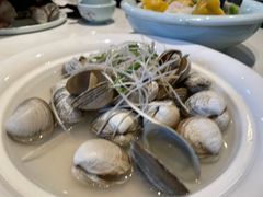 煮白蚬子-小平岛開海水饺(浑南店)