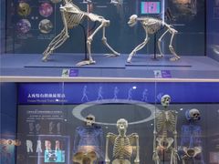 -国家自然博物馆