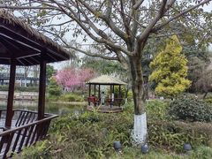 -成飞公园