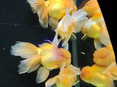 -海合安天津极地海洋公园