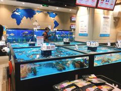 水产区-盒马鲜生(王府广场店)