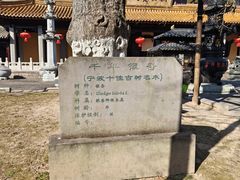 -溪口-滕头旅游景区