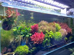 -华声天桥民俗文化园