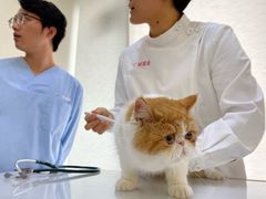 -爱妮康宠物医院·干细胞免疫细胞·肿瘤·心脏(张江店)