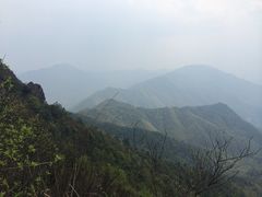 阳岭云海-江西阳明山国家森林公园