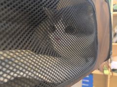 -悠尼宠物·独立低压伊珊娜洗护·美容·寄养(兰谷路店)