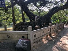 -小洲村