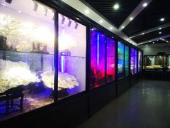 -游龙石文化科普馆