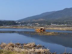 -腾冲北海湿地