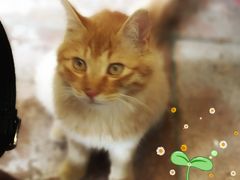 店内大黄-西关竹园(荔枝湾店)