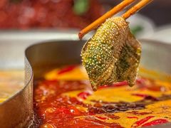 -大龙燚火锅(南山大道店)