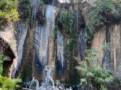 -西双版纳原始森林公园