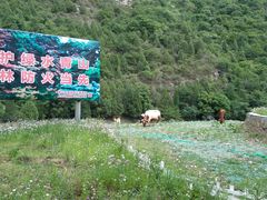 -北京上方山国家森林公园