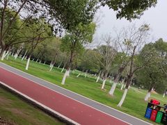 -艾溪湖湿地公园