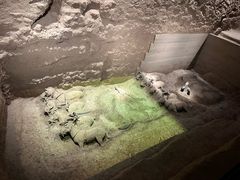 -秦始皇帝陵博物院-丽山园