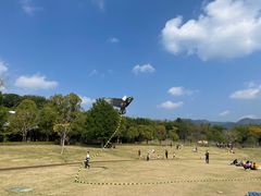 -牛岗山公园