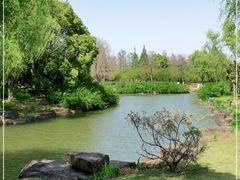 -上海滨江森林公园