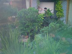 -凤凰山斑鱼馆(恭城店)