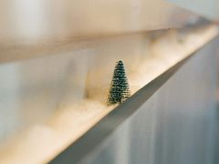 -杯欢制茶(三里屯店)