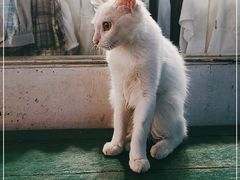 -阿信厚吐司(曾厝垵店)