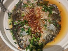 -高嗲嗲·现炒下饭菜(石鼓路店)