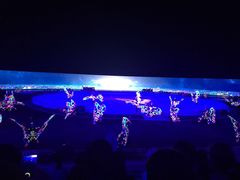 -鼎盛王朝康熙大典实景演出