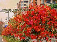 -文华公园(禅城区)