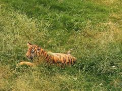 -南京金牛湖风景区