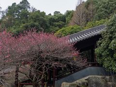 -庐山风景名胜区-东林大佛