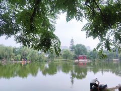 -渭滨公园