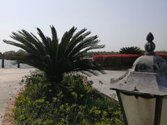 -上海都市菜园