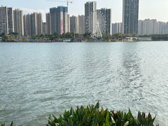 -飞来湖湿地公园