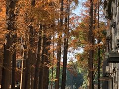 -苏州大学(天赐庄校区)