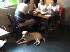 -百好乐宠物友好餐厅(朝外大街店)