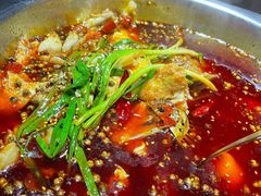 -大拿渔火锅(万豪白领富贵西园店)