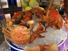 -圣丰索菲特·2 On 988 Café 自助餐厅