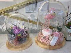-花未央花店·WEYOUNG