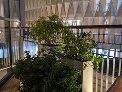 -浅深Cheersum(曹杨店)