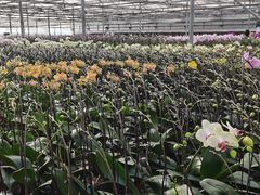 -北京益泉花园酒店